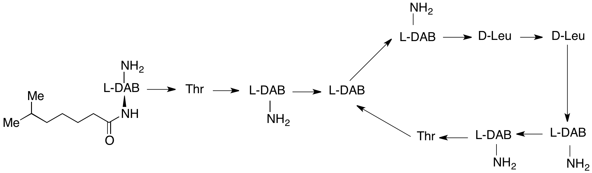 C4X-225512