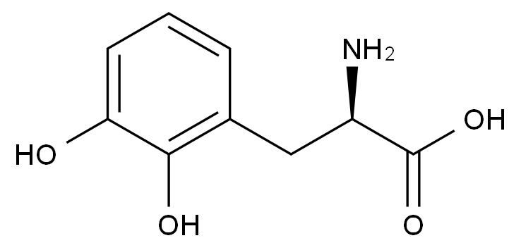 C4X-190830